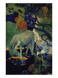 The White Horse  1898