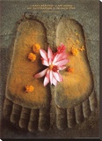 Thich Nath Hanh  I Have Arrived