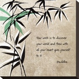 Discover
