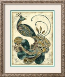 Royal Peacock