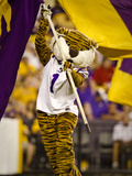 Louisiana State University: Mike the Tiger and the LSU Flag in Tiger Stadium