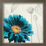 A Touch of Color II
