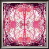 Neo Art  no 2