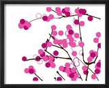 Pink blossoms