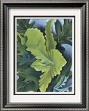 Green Oak Leaves  c1923