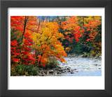 Stream in Autumn Woods