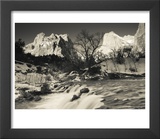 Utah  Zion National Park  Mountain Sunrise by the North Fork Virgin River  Winter  USA