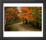 Country Road in the Fall  Vermont  USA