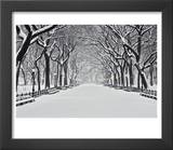Central Park in Winter