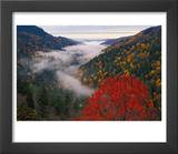 Autumn View of Fog from Morton Overlook  Great Smoky Mountains National Park  Tennessee  USA