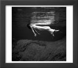 Weeki Wachee Spring  Florida