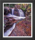 Red Rock Along Virginia Creek in Glacier National Park  Montana  USA