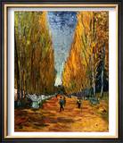 Avenue of The Elysian Fields