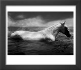 White Horse Swimming