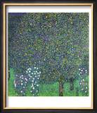 Roses Under the Trees  circa 1905