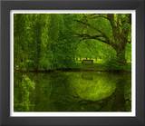 Green World