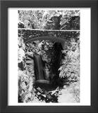 Christine Falls During Winter  Mt Rainier National Park  WA