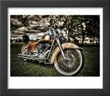 Harley