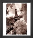 Eiffel Tower  Paris  France
