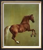 Whistlejacket  1762