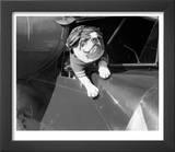 Dog Flying in Aircraft
