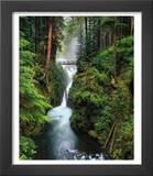 Sol Duc Falls Cascading Through Rainforest