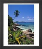 Tropical Beach  La Digue Island  Seychelles