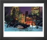 NYC  Central Park Snow and Plaza Hotel