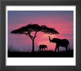 Silhouette of Elephants and Tree