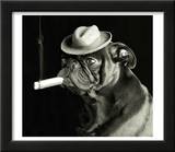 Pug smoking a cigar
