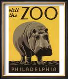 Visit the Philadelphia Zoo