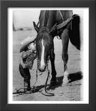 Jean Anne Evans  14 Month Old Texas Girl Kissing Her Horse