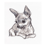 Peanut