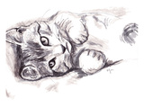 No Nap