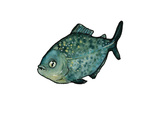 Piranha