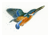 Kingfisher I