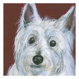 Westie