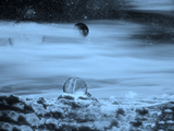 Embedded Star
