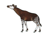 Okapi