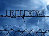 Freedom