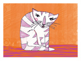 Miezekatze Orange