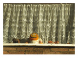 Fensterviech