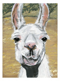 Blanca