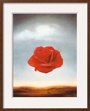 Rose Meditative  c1958