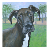 Buster