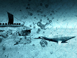 The Last Whale Hunt
