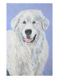 Blue Belle