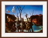 Swans Reflecting Elephants  c1937