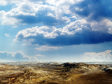 The Great Wide Open