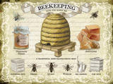 Beekeeping